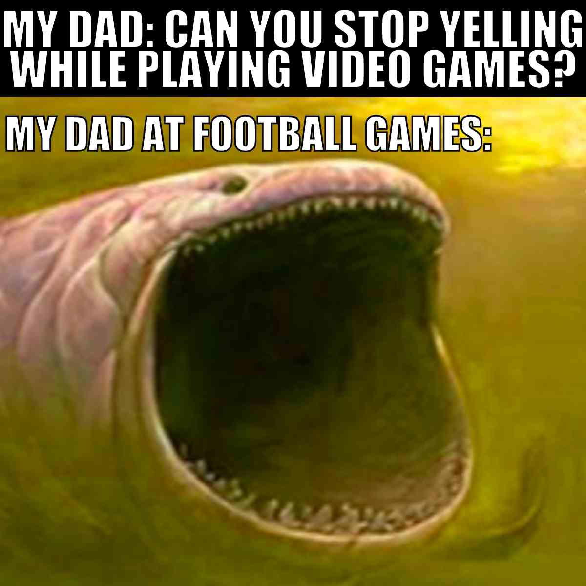 football dad meme Funny dad meme showing a fish with an open mouth representing dad yelling passionately at football games, despite asking to keep it down during video games.