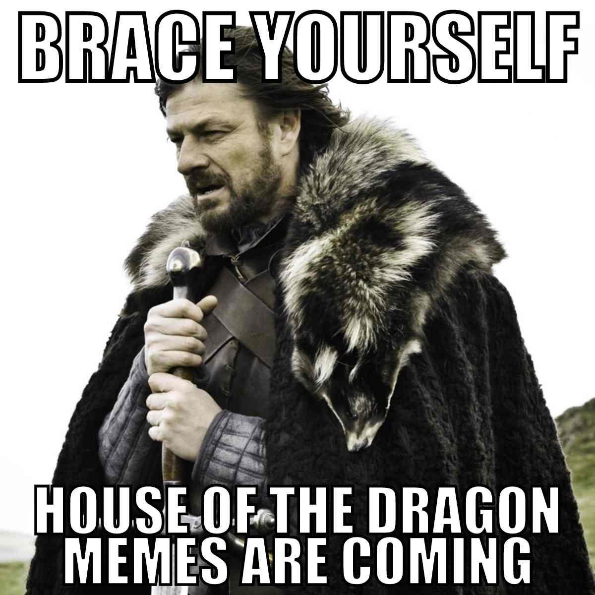 house of the dragon memes