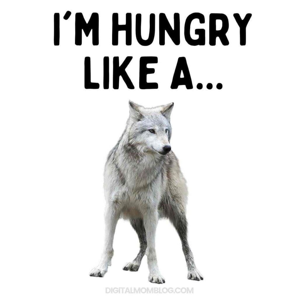 hungry like a wolf meme hungry like a wolf meme