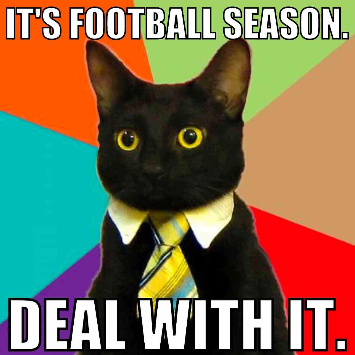 its football season meme its football season meme