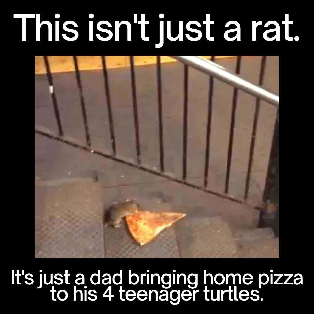pizza rat meme Meme of a rat dragging a pizza slice down stairs, captioned: 'This isn't just a rat. It's just a dad bringing home pizza to his 4 teenager turtles.'
