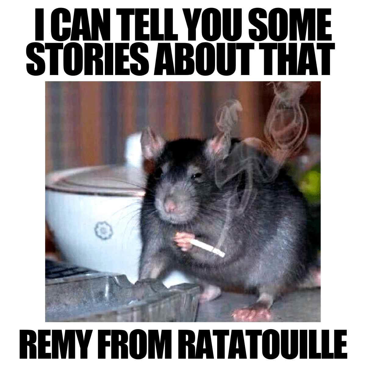 Ratatouille Meme ratatouille rat meme