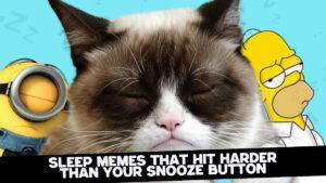A grumpylooking cat is flanked by a Minion on the left and sleeping homer simpson on the right, with the caption, 'Sleep memes that hit harder than your snooze button.'