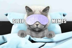 A meme showing a cat tucked into bed wearing a lavender sleep mask, embodying the ultimate sleep goals, with the words 'SLEEP MEMES' on either side.