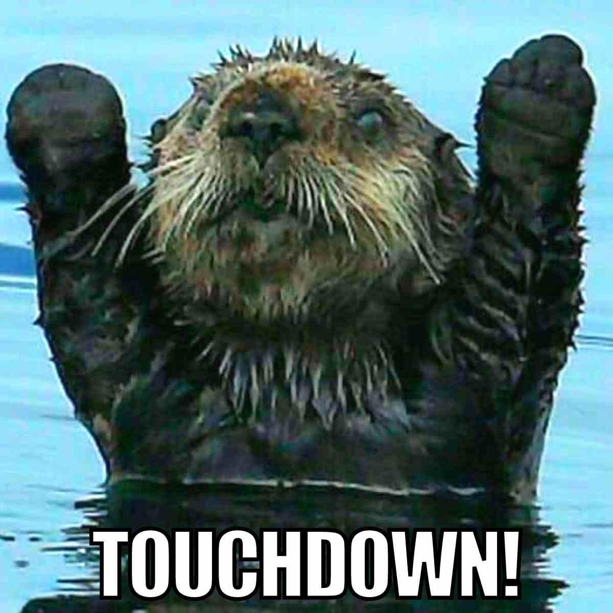 touchdown meme 1 touchdown meme