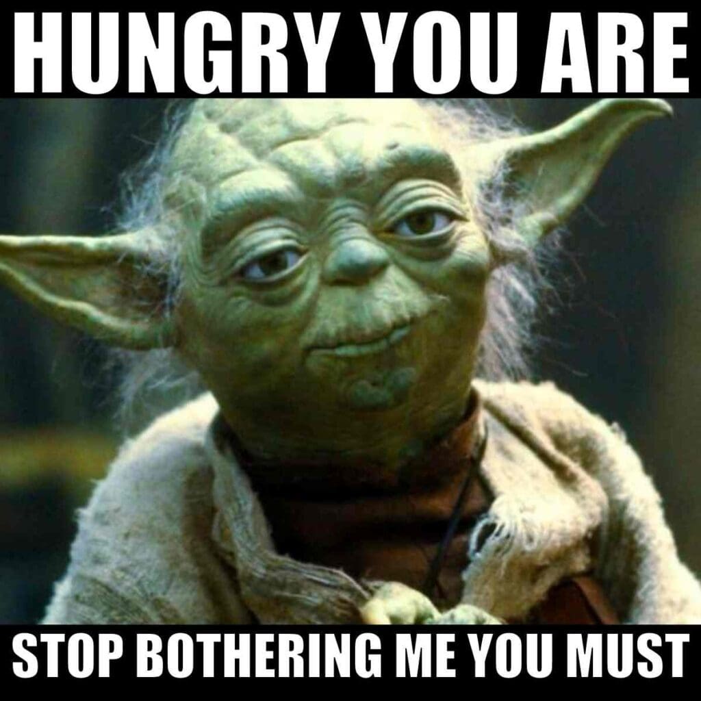 yoda hungry meme yoda hungry meme