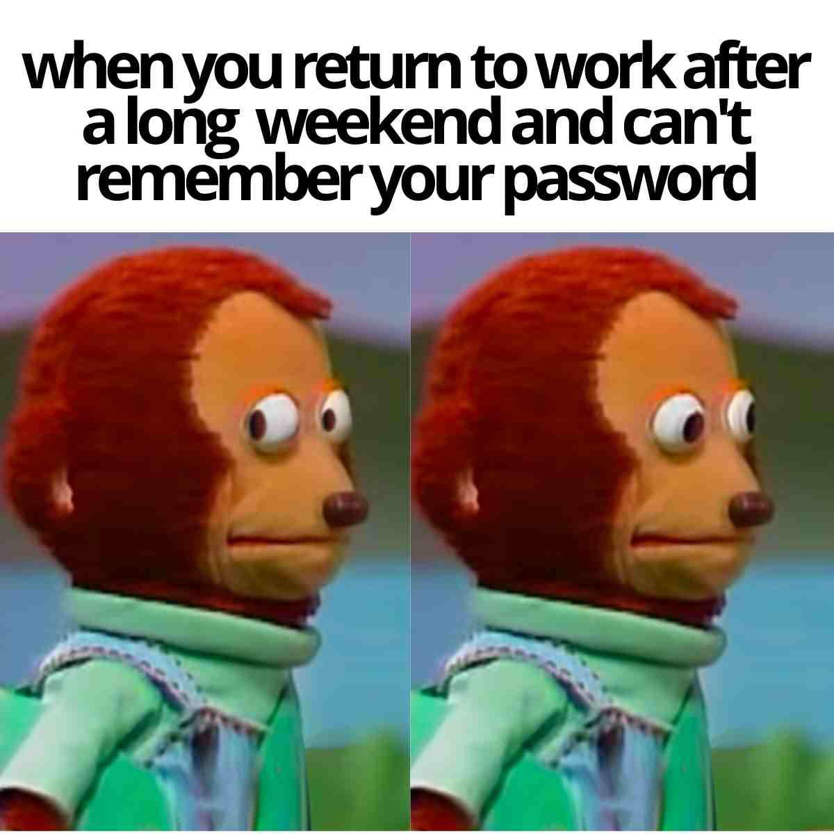 cant remember password meme cant remember password meme