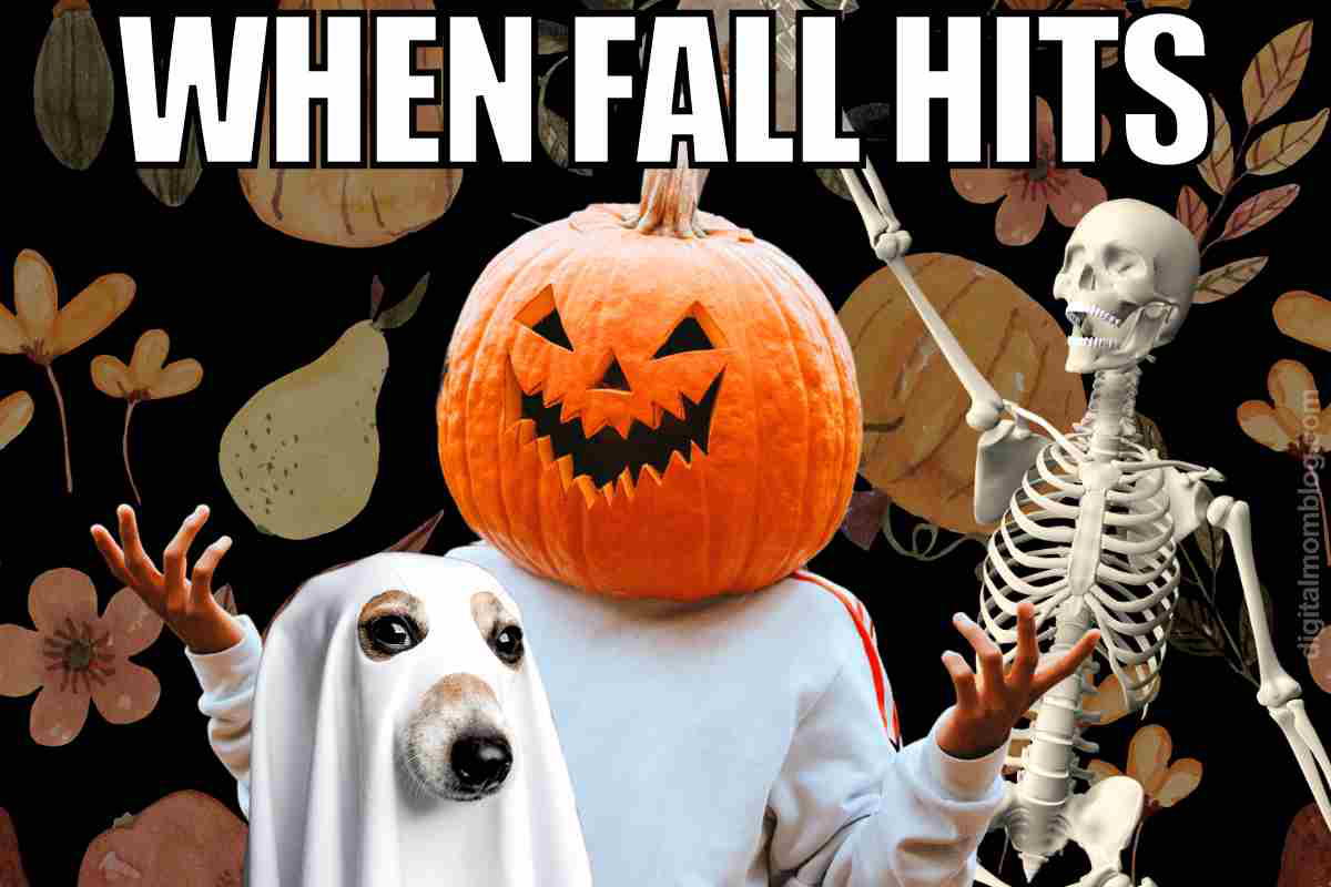 fall meme fall meme: when fall hits