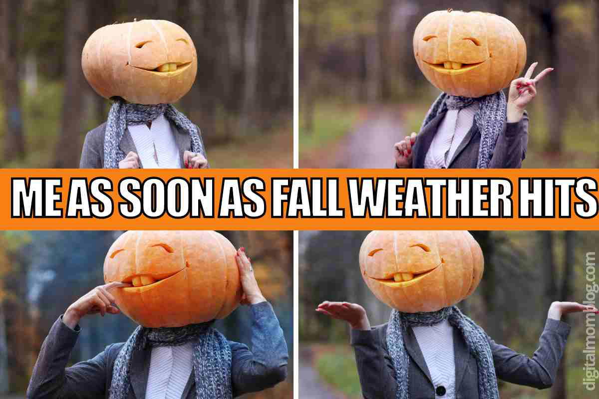 fall weather meme funny fall weather meme funny