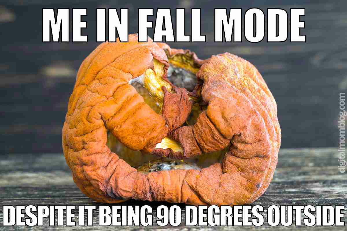 funny fall memes 1 funny fall memes