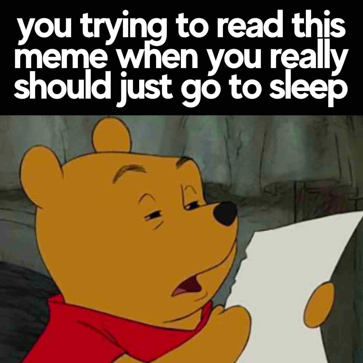 funny insomnia meme Meme of a sleepy bear struggling to read a paper, captioned 'you trying to read this meme when you really should just go to sleep,' capturing insomnia humor.
