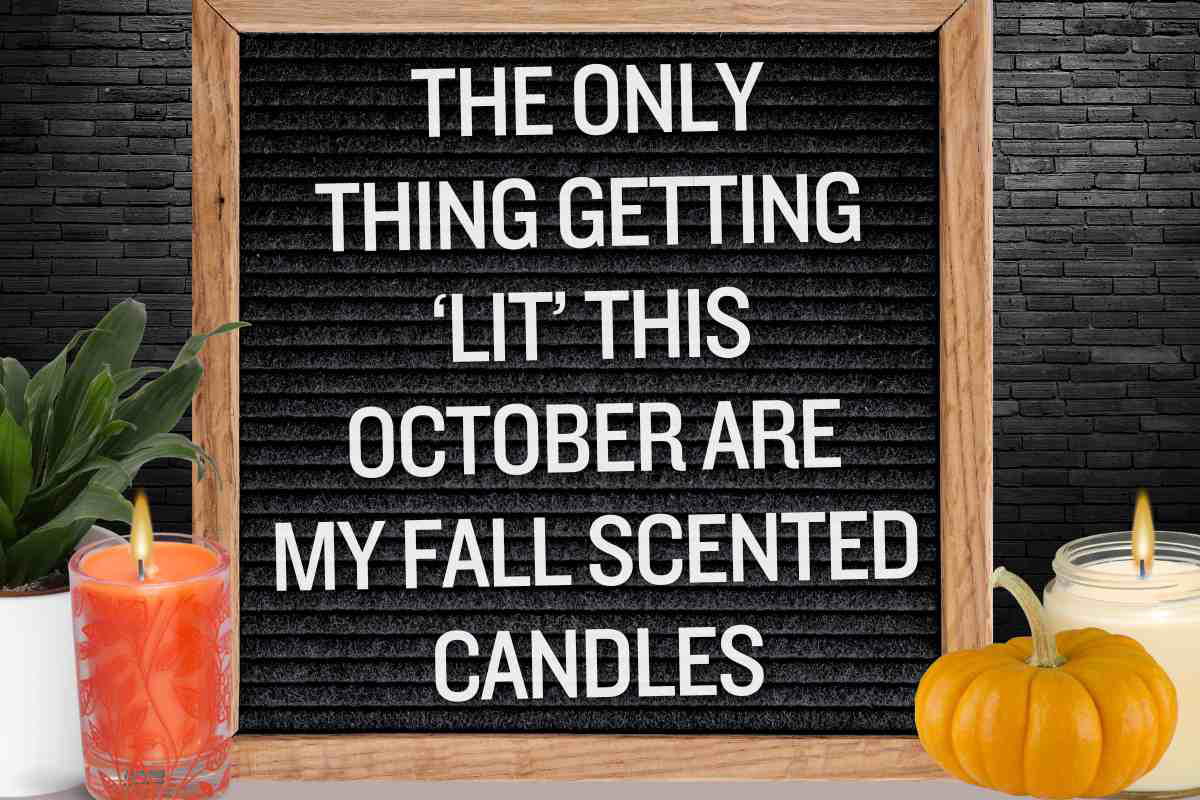 funny meme october funny meme october: the only thing getting lit this october are my fall scented candles