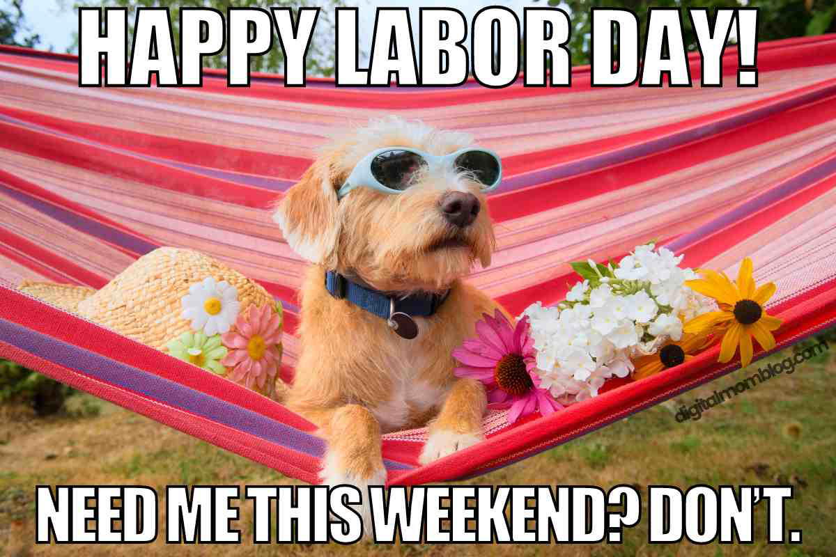 happy labor day meme happy labor day meme