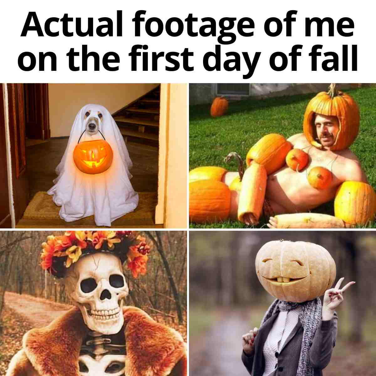 me on first day of fall meme Actual footage of me on the first day of fall