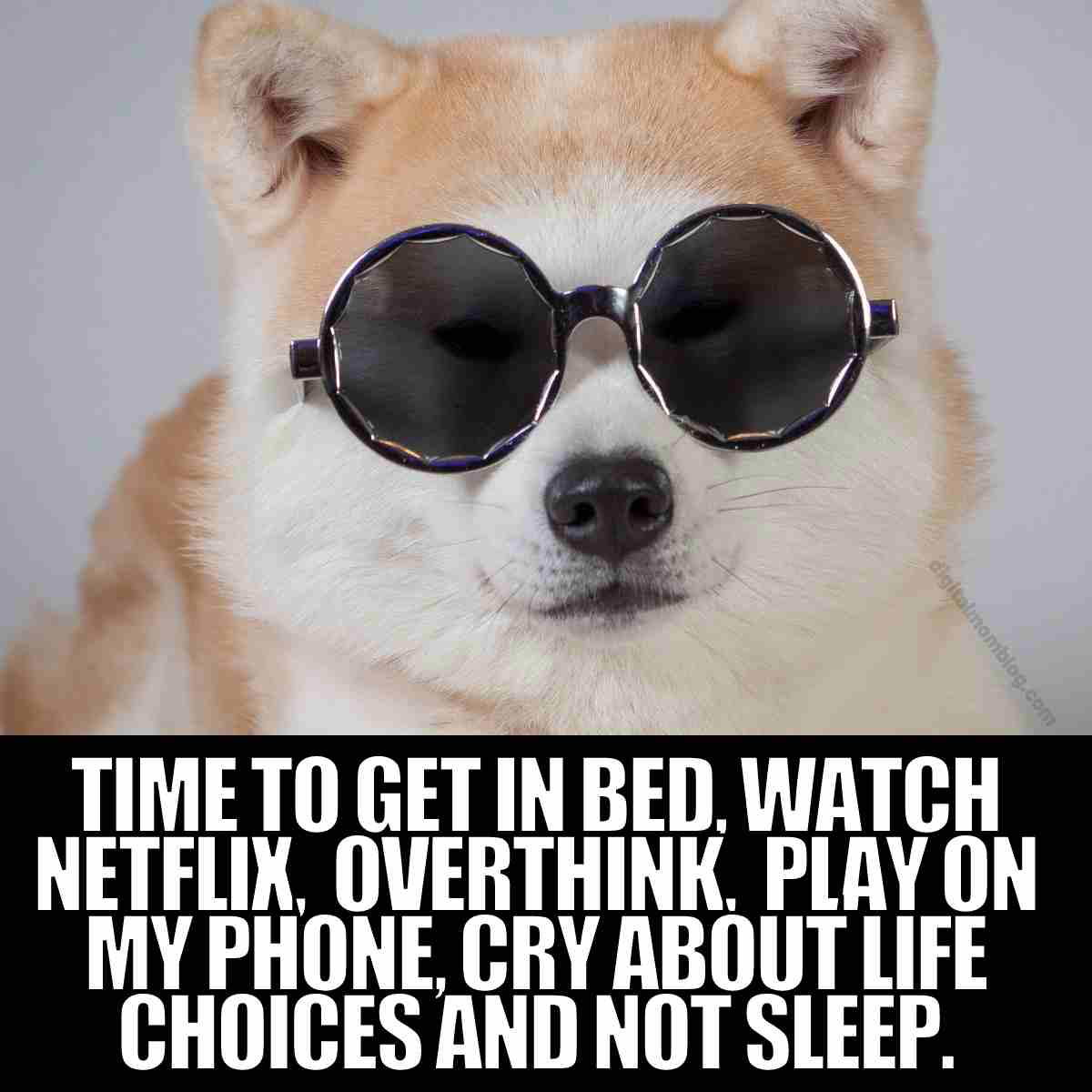 meme insomnia A meme featuring a dog in round sunglasses looking cool and disinterested, with text below saying, 'Time to get in bed, watch Netflix, overthink, play on my phone, cry about life choices and not sleep.' Perfect insomnia humor for anyone who's ever been on a latenight existential spiral.