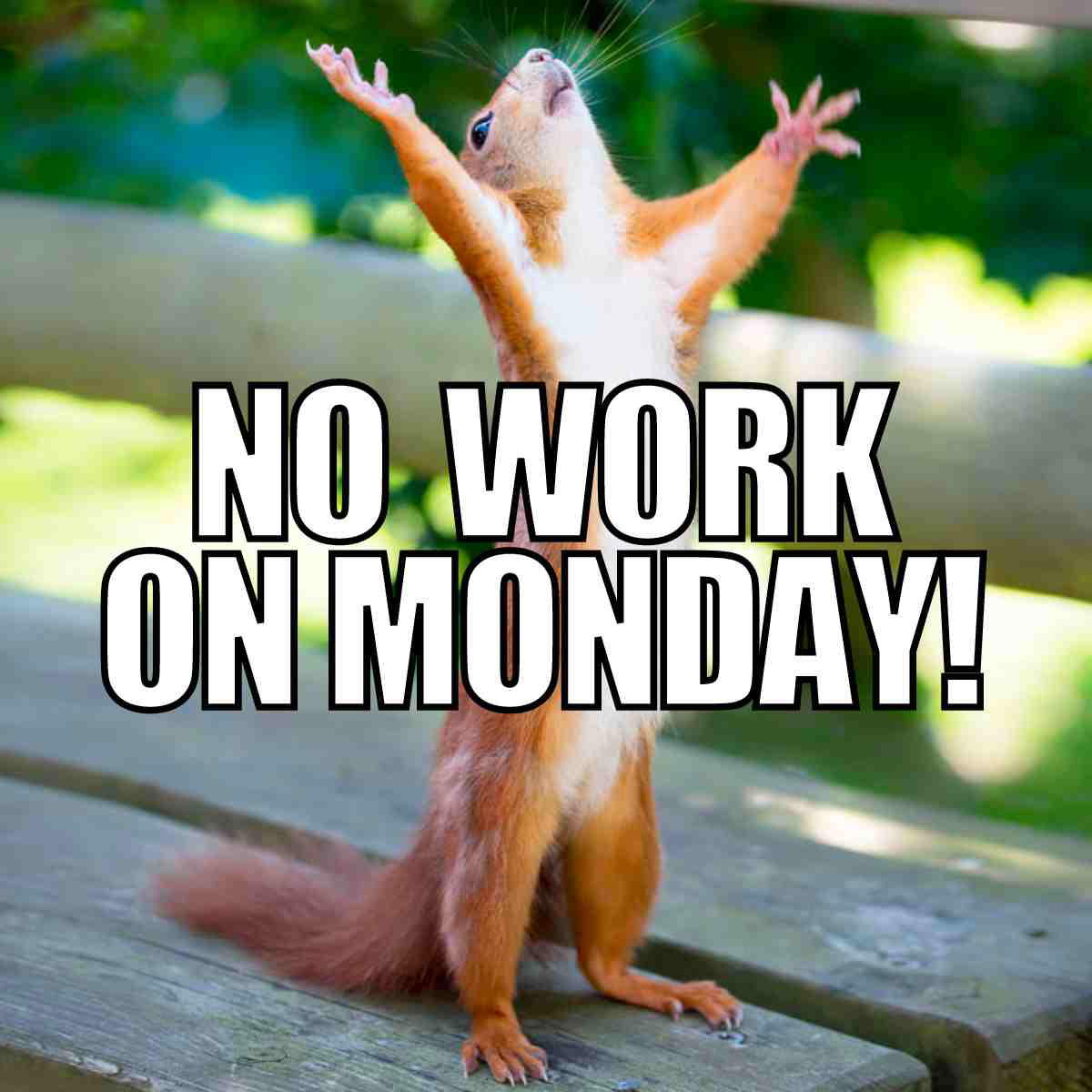 no work on monday meme Meme of a jubilant squirrel standing on hind legs with raised paws, text reads "NO WORK ON MONDAY!" expressing delight over a free Monday.