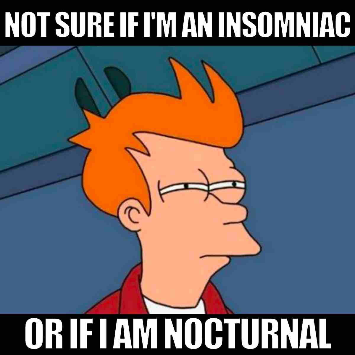 nocturnal meme nocturnal meme