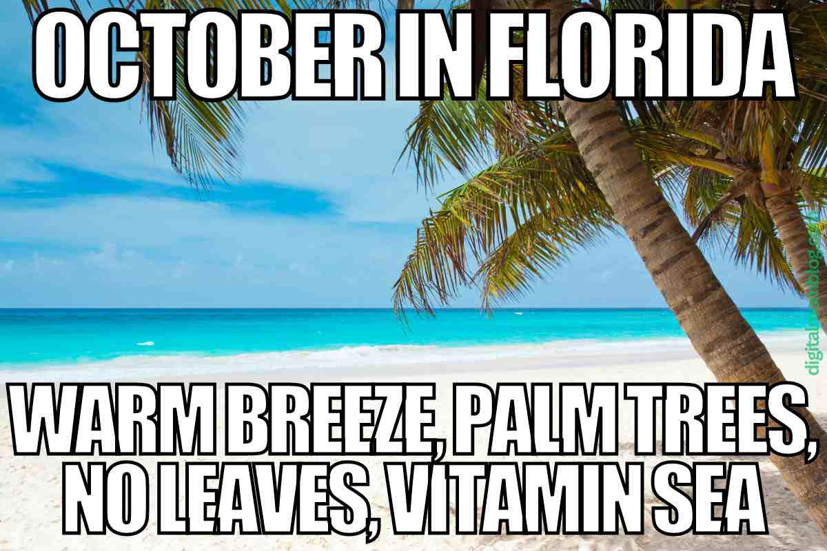 october in florida meme october in florida meme