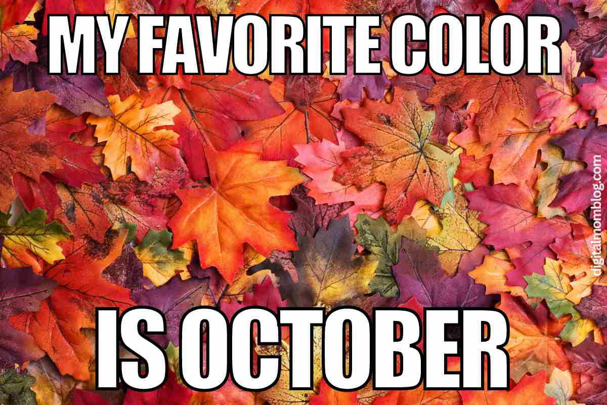 october meme 2023 my favorite color is october