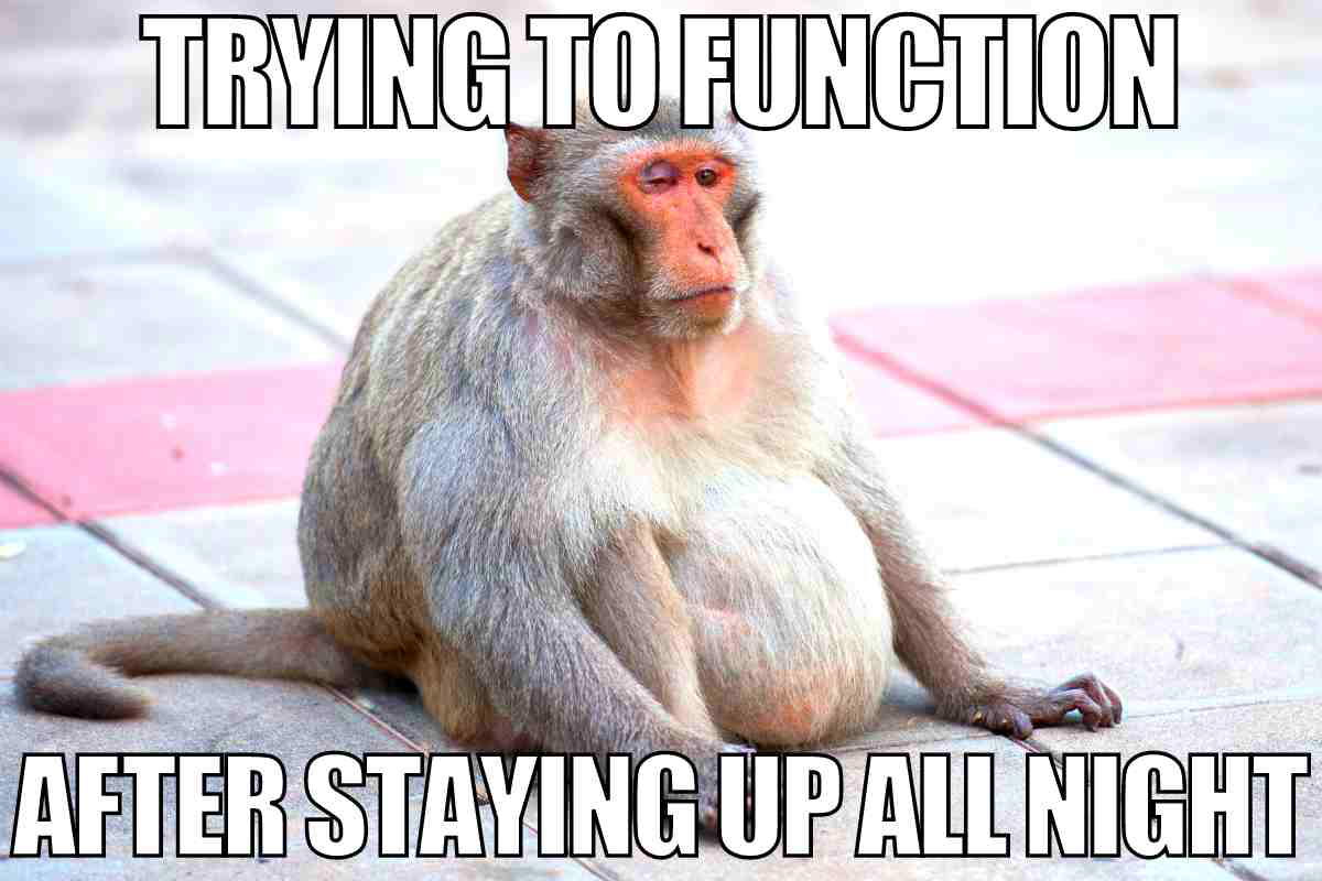 up all night meme up all night meme