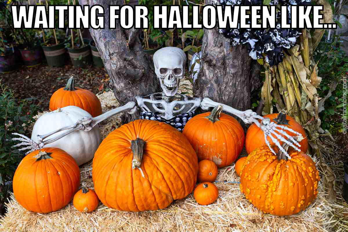 waiting for halloween meme waiting for halloween meme
