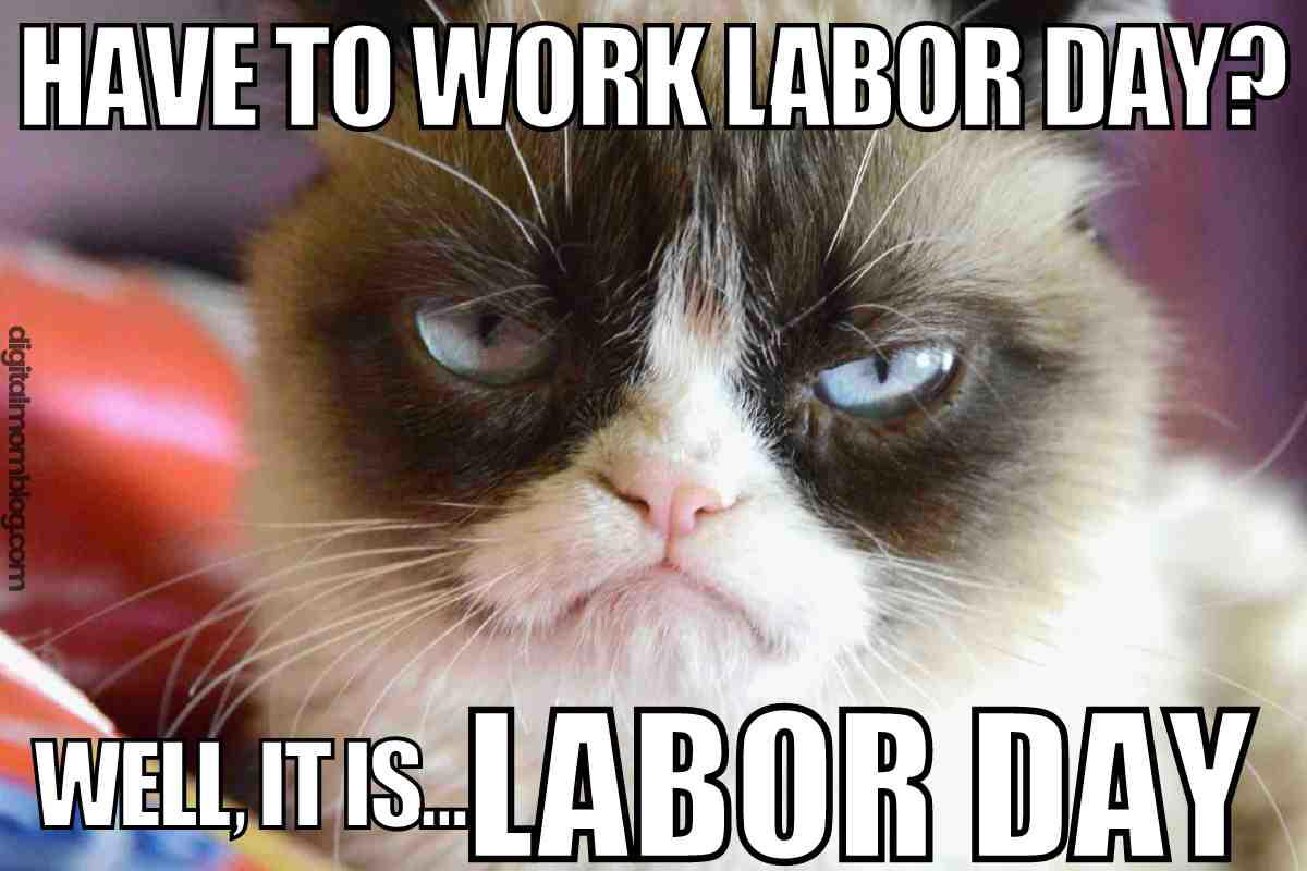 work on labor day meme Meme with a grumpy cat face and text joking about the irony of working on Labor Day, adding a humorous twist to the work holiday dilemma.
