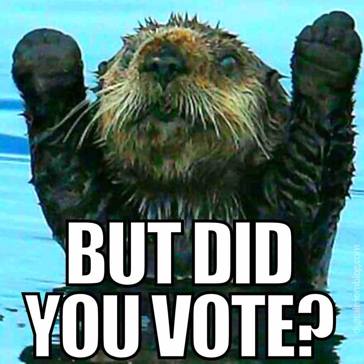 did you vote meme but did you vote