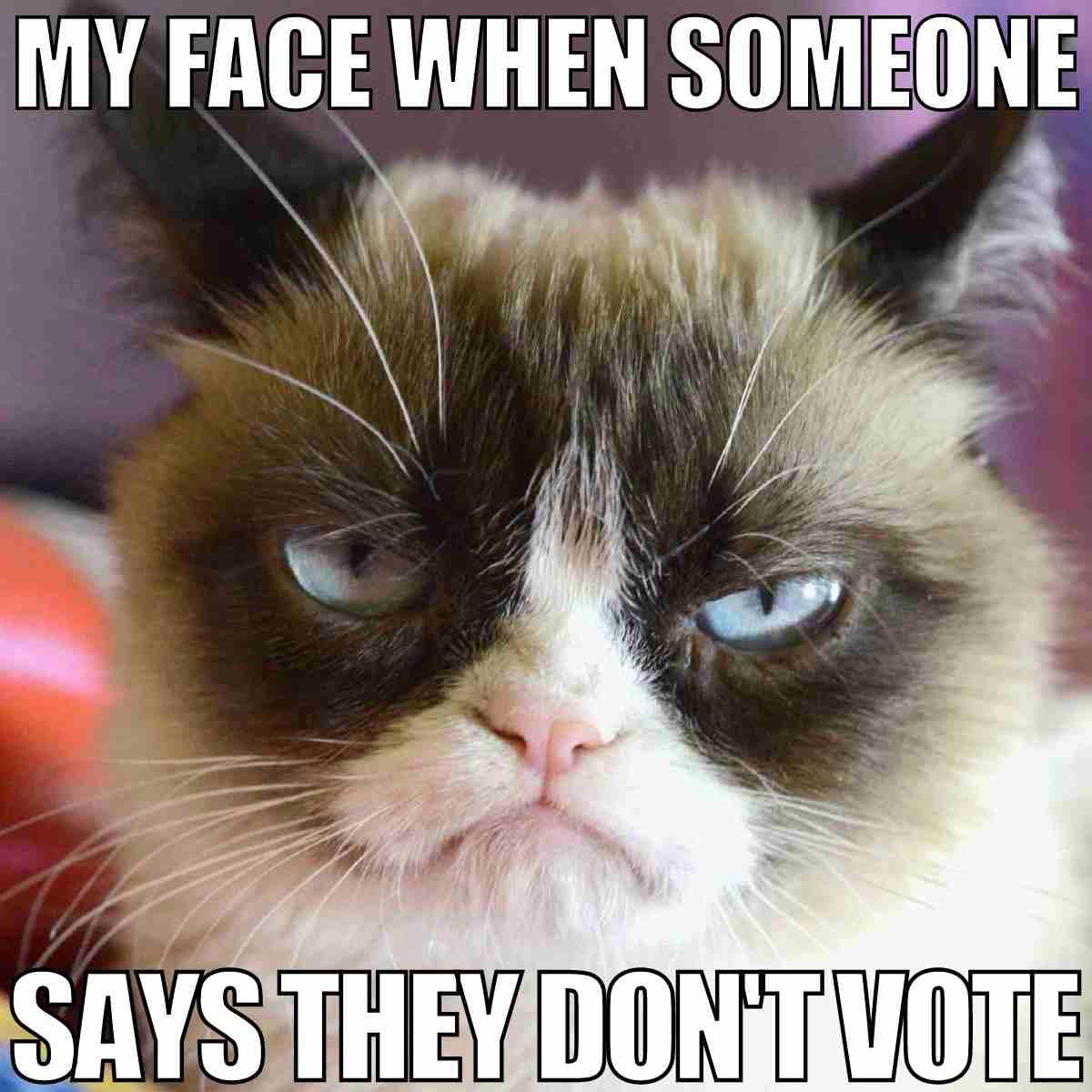 dont vote meme my face when someone says they dont vote