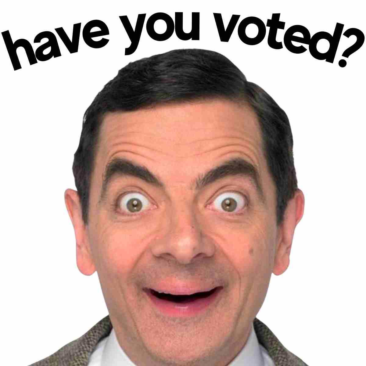 have you voted meme have you voted meme