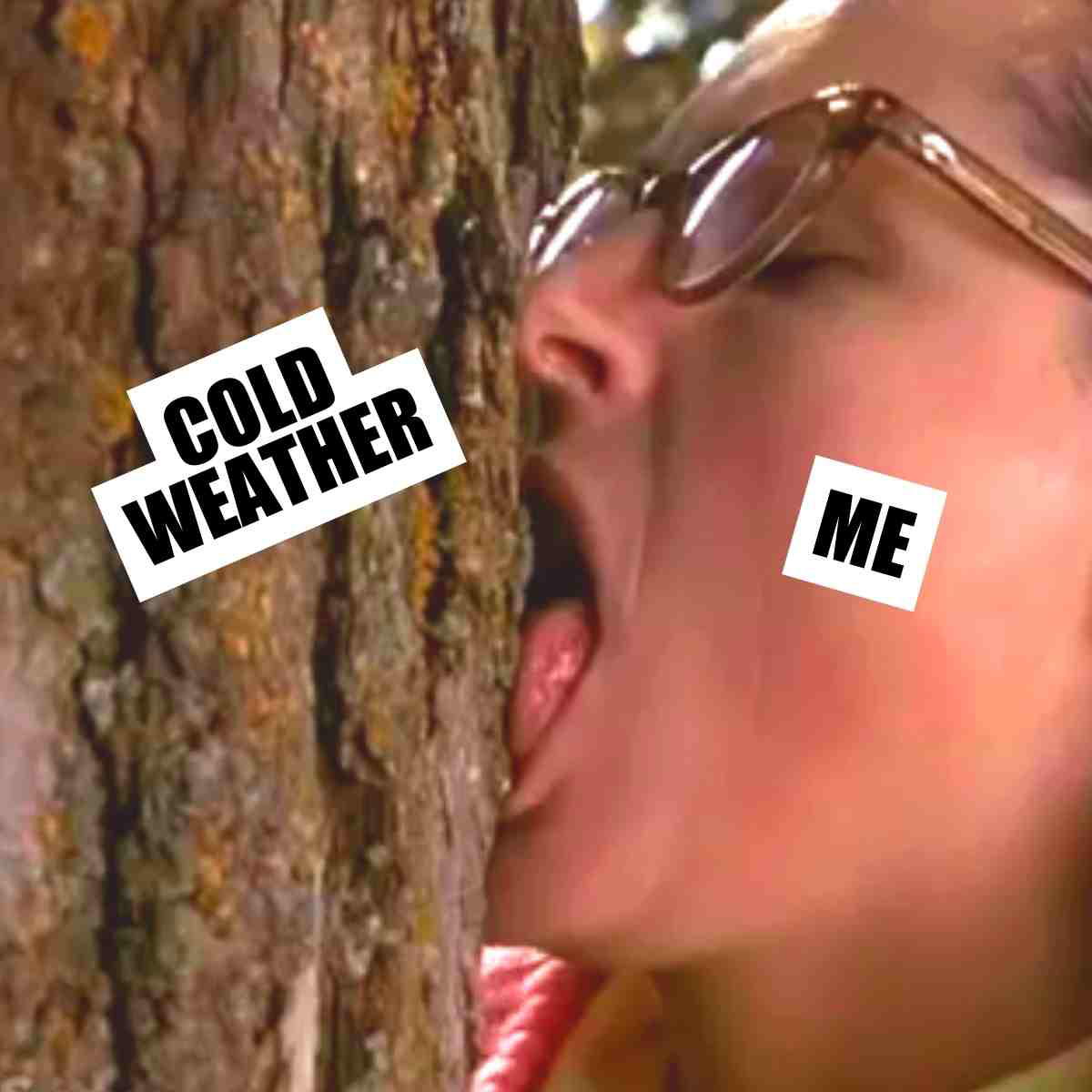 Humorous cold weather meme with a person labeled 'Me' licking a tree labeled 'Cold Weather,' capturing the struggle of enduring the chill.