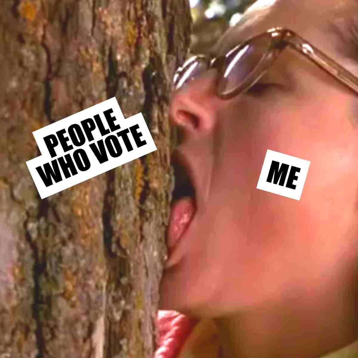 i love voting meme people who vote