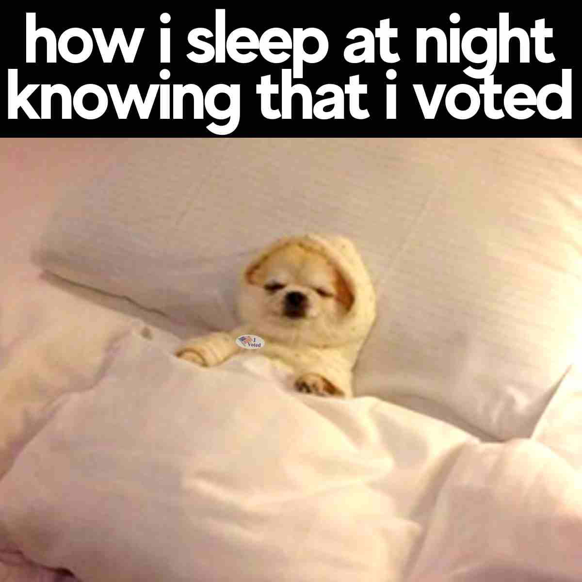 i voted meme how i sleep at night knowing i voted