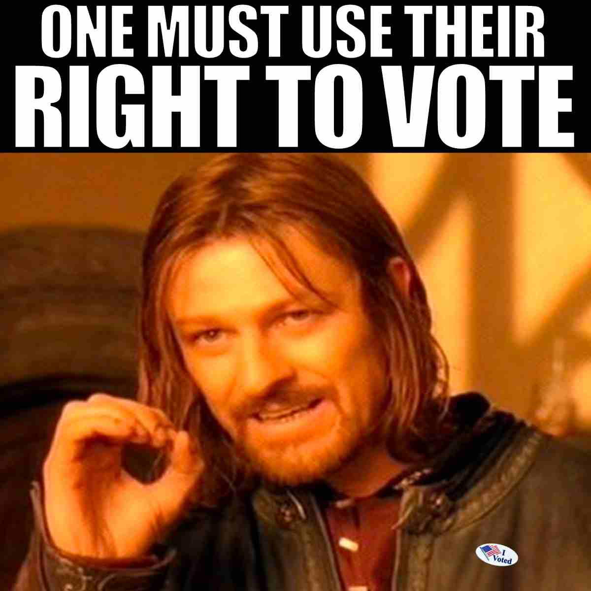 right to vote meme one must use their right to vote meme