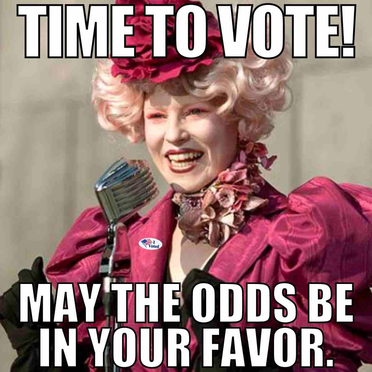 time to vote meme time to vote may the odds be in your favor
