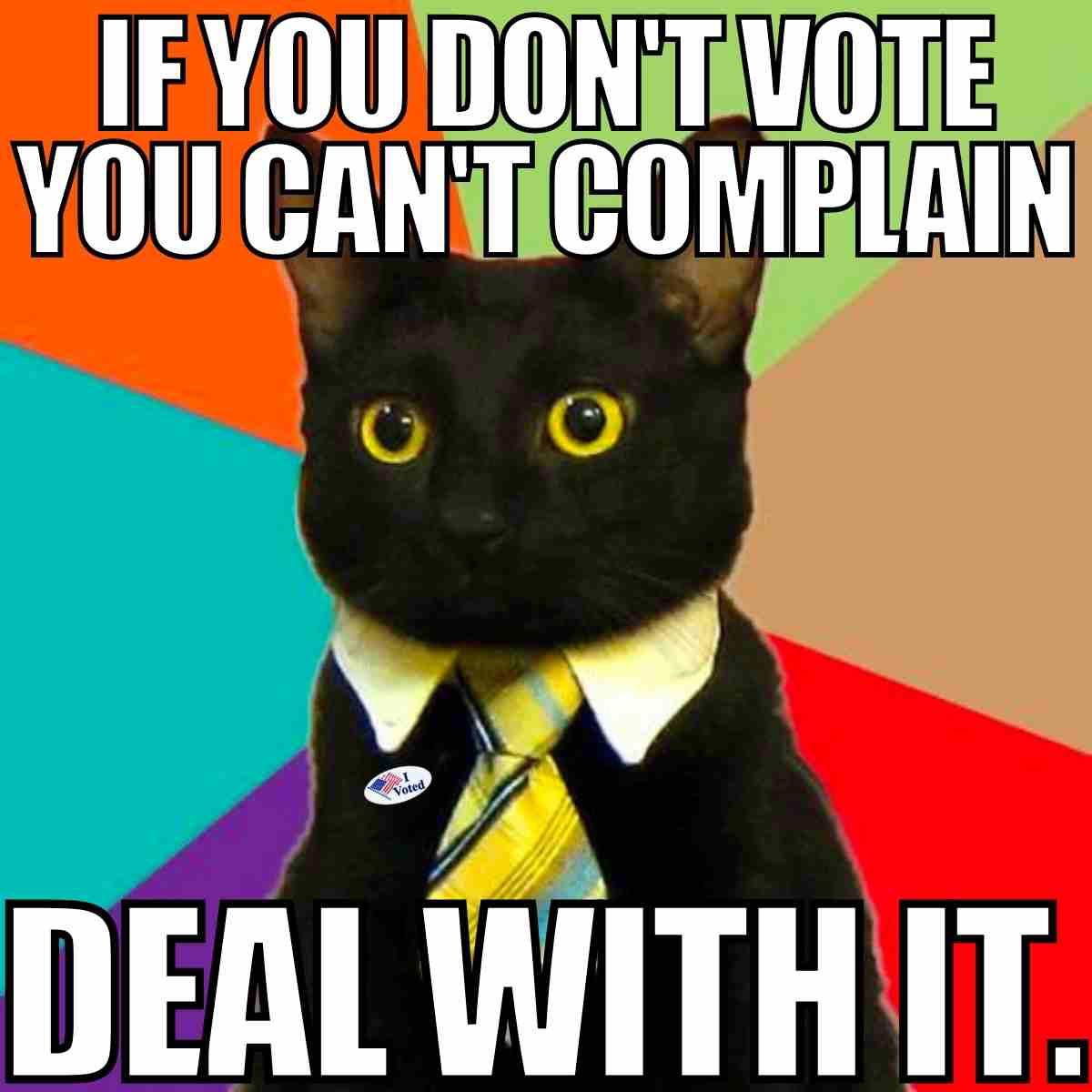 vote meme funny if you cant vote you cant complain