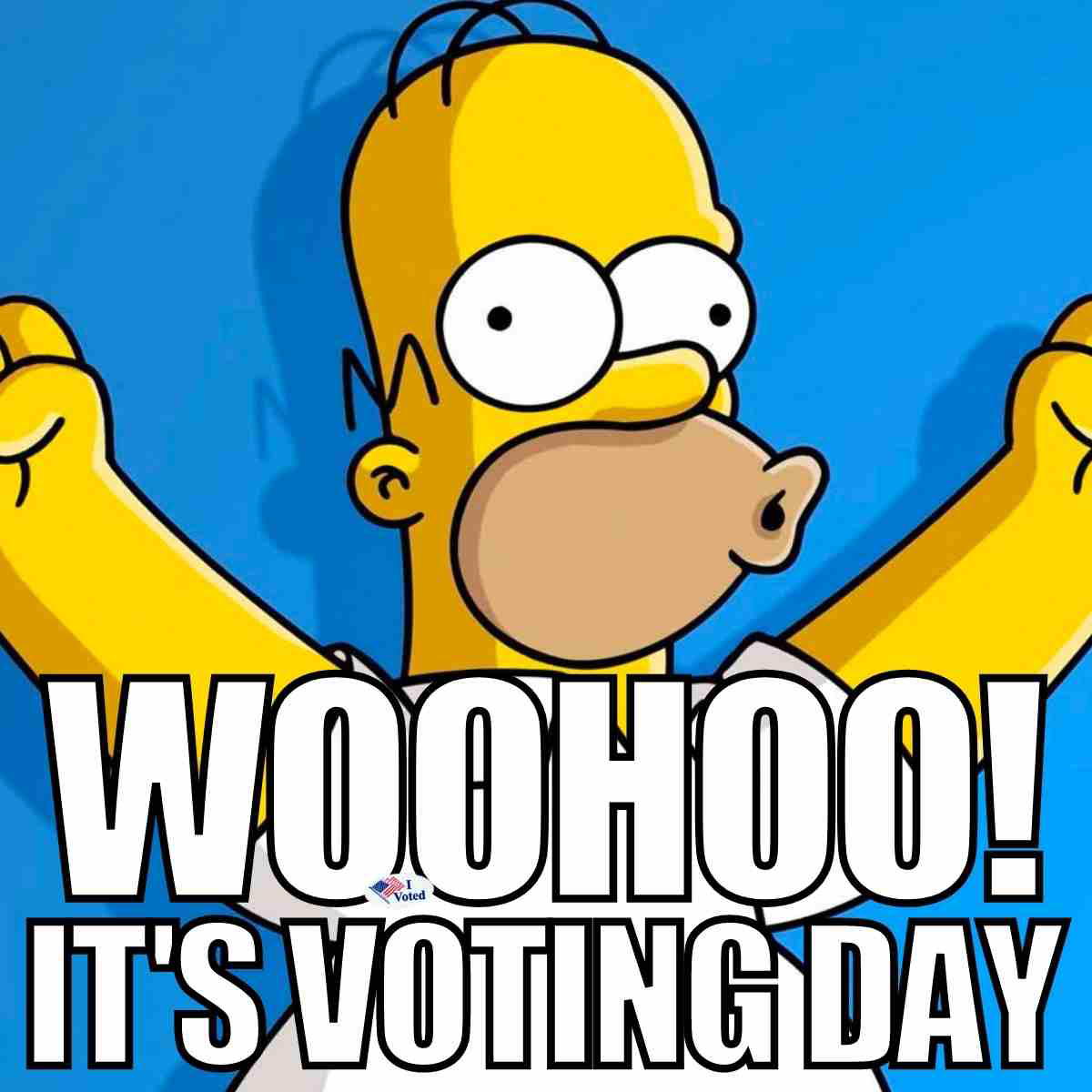 voting day meme woohoo its voting day meme