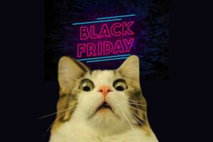 A wideeyed cat in shock below the neonlit words 'Black Friday,' perfectly capturing that moment when you realize it's Friday and deals are about to hit like a caffeine rush.