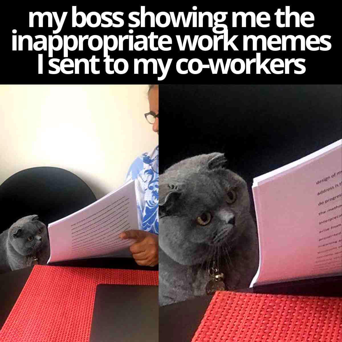 boss meme funny my boss showing me the inappropriate work memes I sent to my co workers