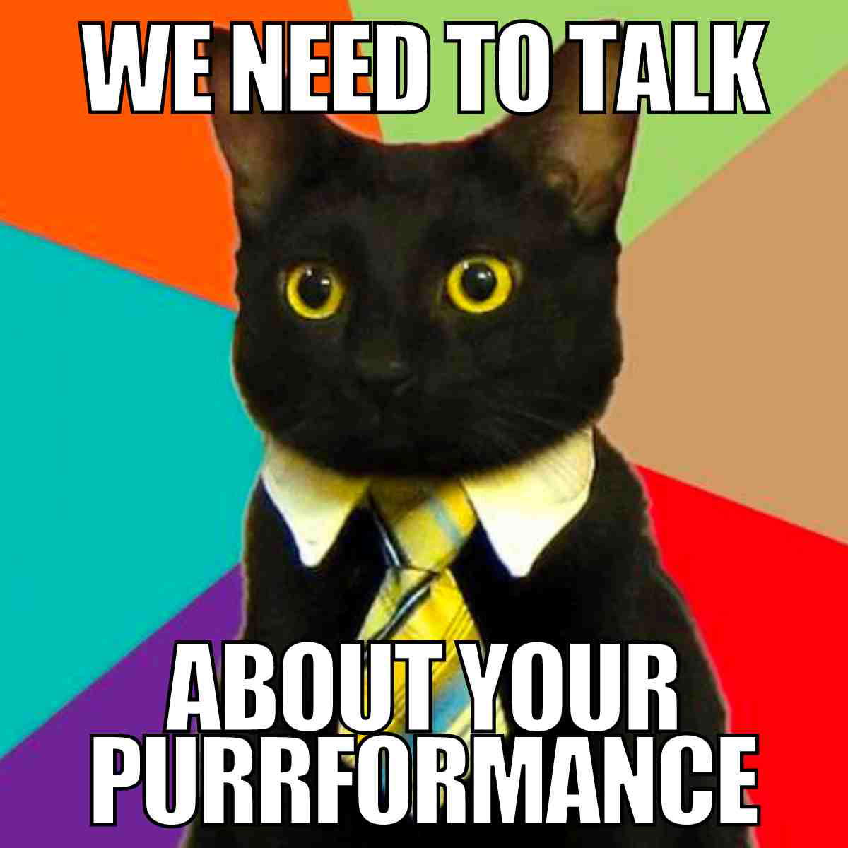 cat boss meme we need to talk about your purrformance