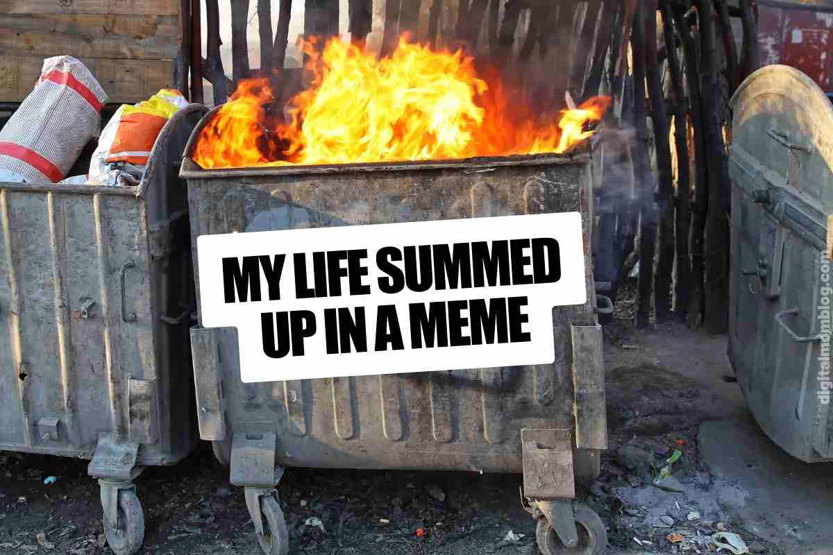 dumpster fire meme my life summed up in a meme