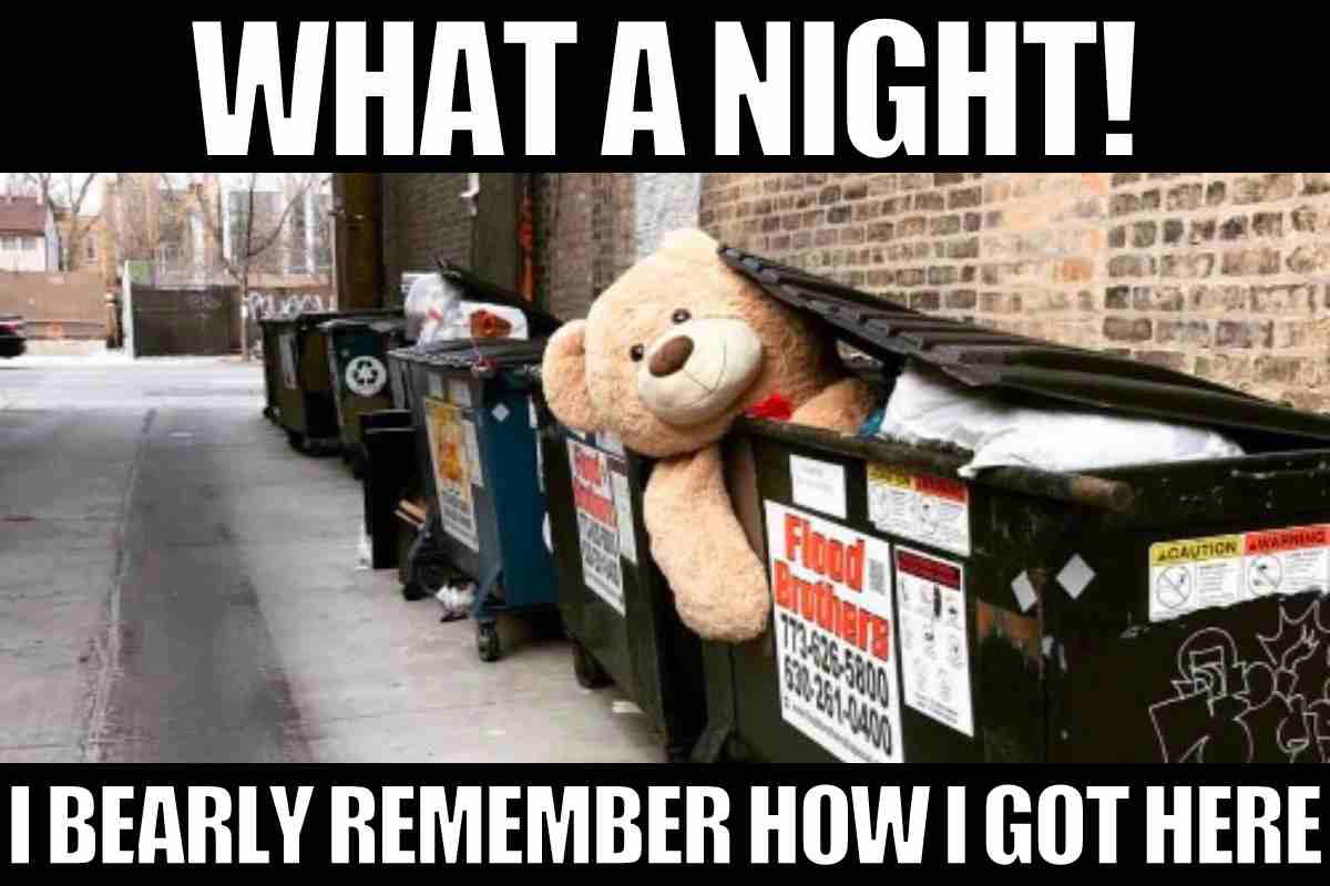 dumpster meme what a night i bearly remember how i got here