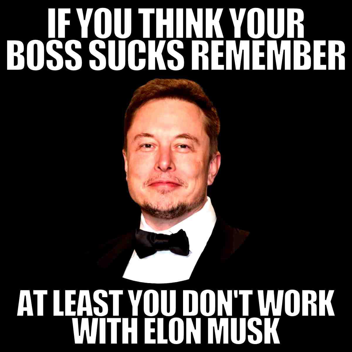 elon musk boss meme if you think your boss sucks at least you dont work for elon musk