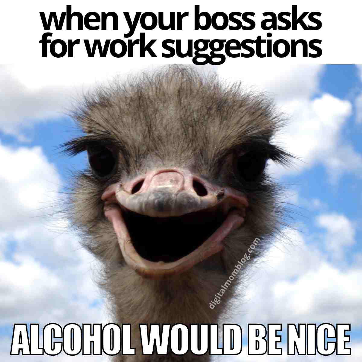 funny boss meme work Meme featuring an ostrich with a humorous expression, text reads: 'When your boss asks for work suggestions, alcohol would be nice.'
