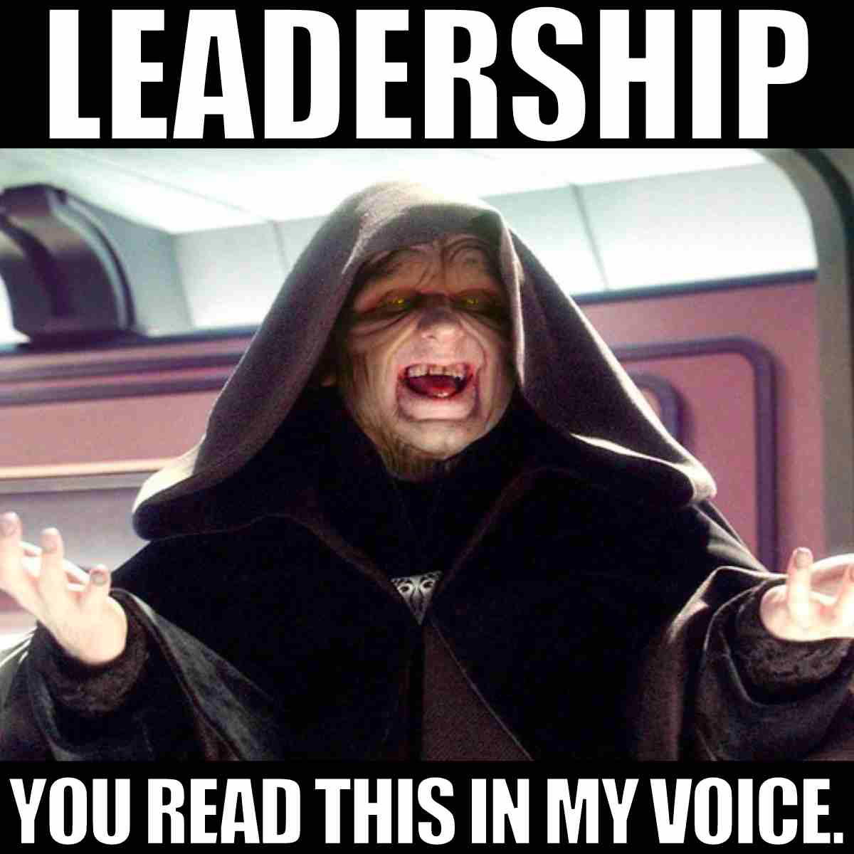 funny leadership meme leadership you read this in my voice.