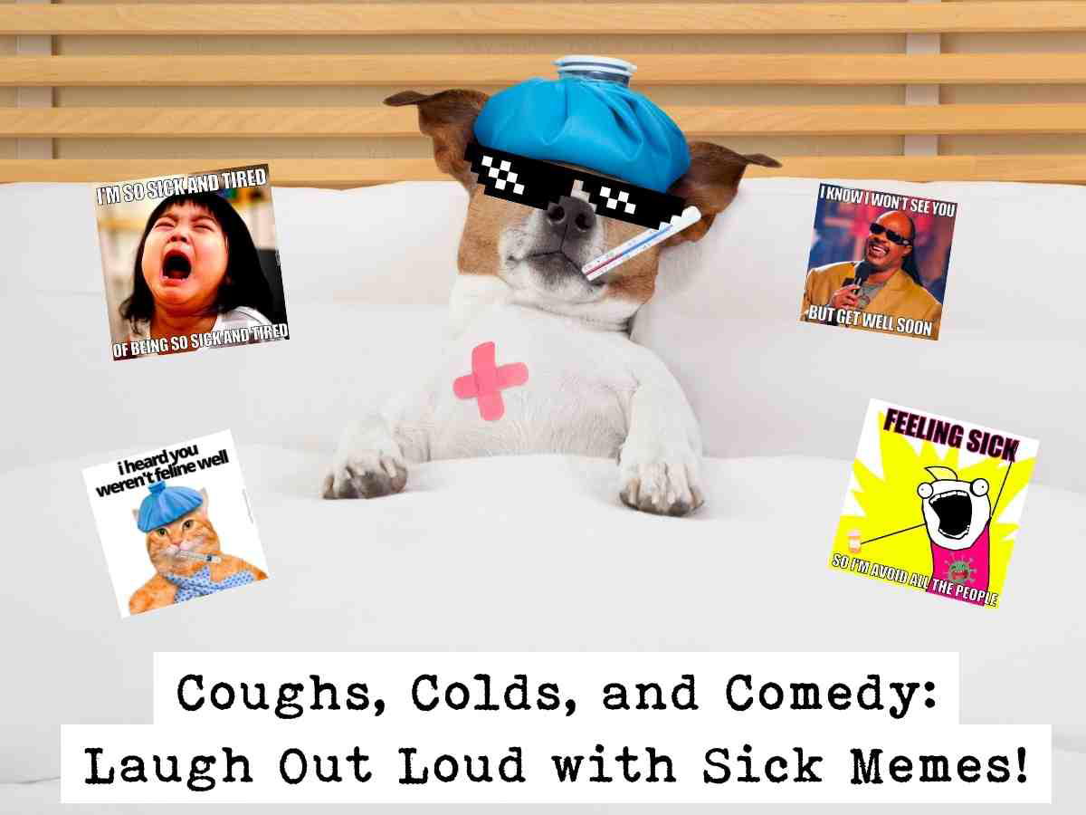 funny sick memes for adults Meme featuring a chilled-out dog with a blue ice pack on its head, a thermometer in its mouth, and pixelated sunglasses, surrounded by four humorous sick-themed memes with captions about feeling unwell. Text at the bottom reads: 'Coughs, Colds, and Comedy: Laugh Out Loud with Sick Memes!'