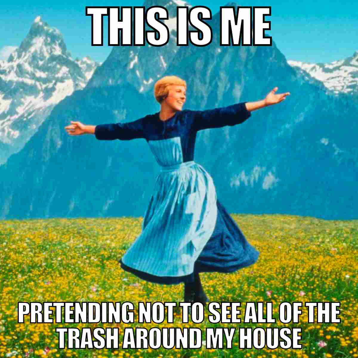 funny trash meme this is me pretending not to see all of the trash around my house