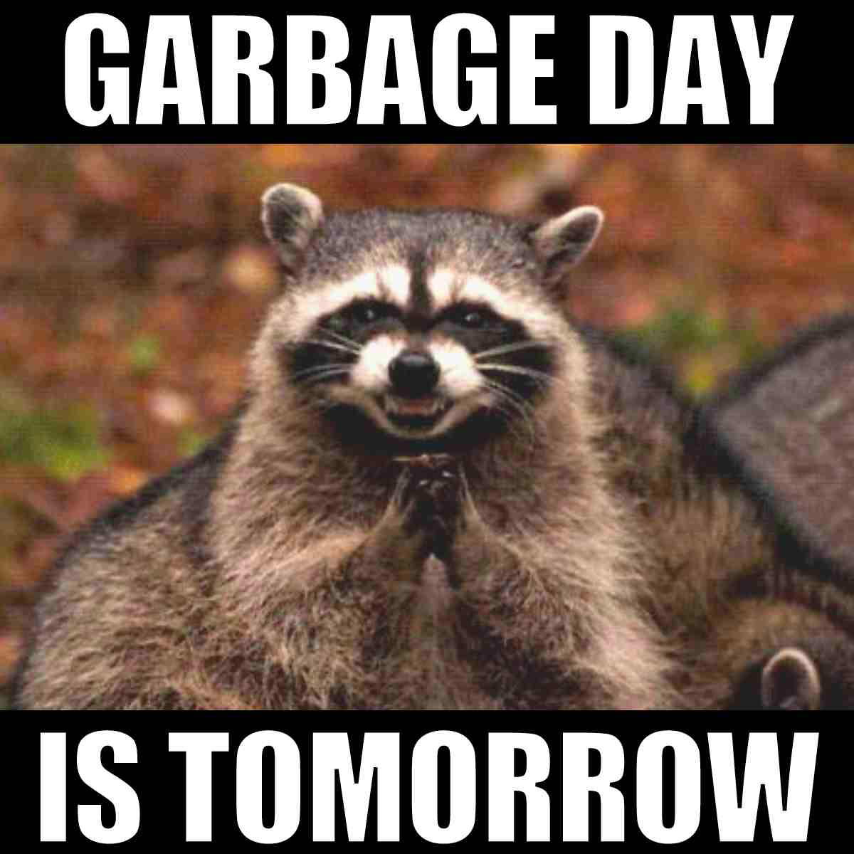 garbage day meme garbage day is tomorrow