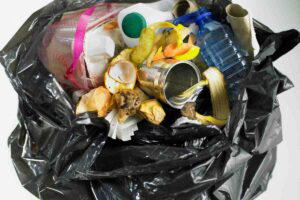 Trash Memes Are Absolute Garbage… and We Love It