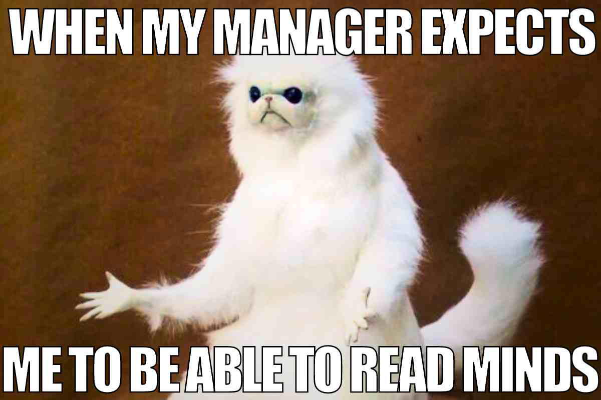 manager meme manager meme: when my manager expects me to be able to read minds
