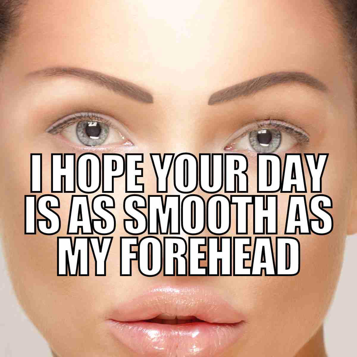 november 16 meme november 16 meme of the day may your day be as smooth as my forehead